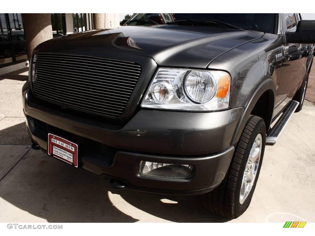 2005 F150 FX4 SuperCab 4x4 - Dark Shadow Grey Metallic / Black photo #14