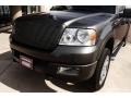 2005 Dark Shadow Grey Metallic Ford F150 FX4 SuperCab 4x4  photo #14