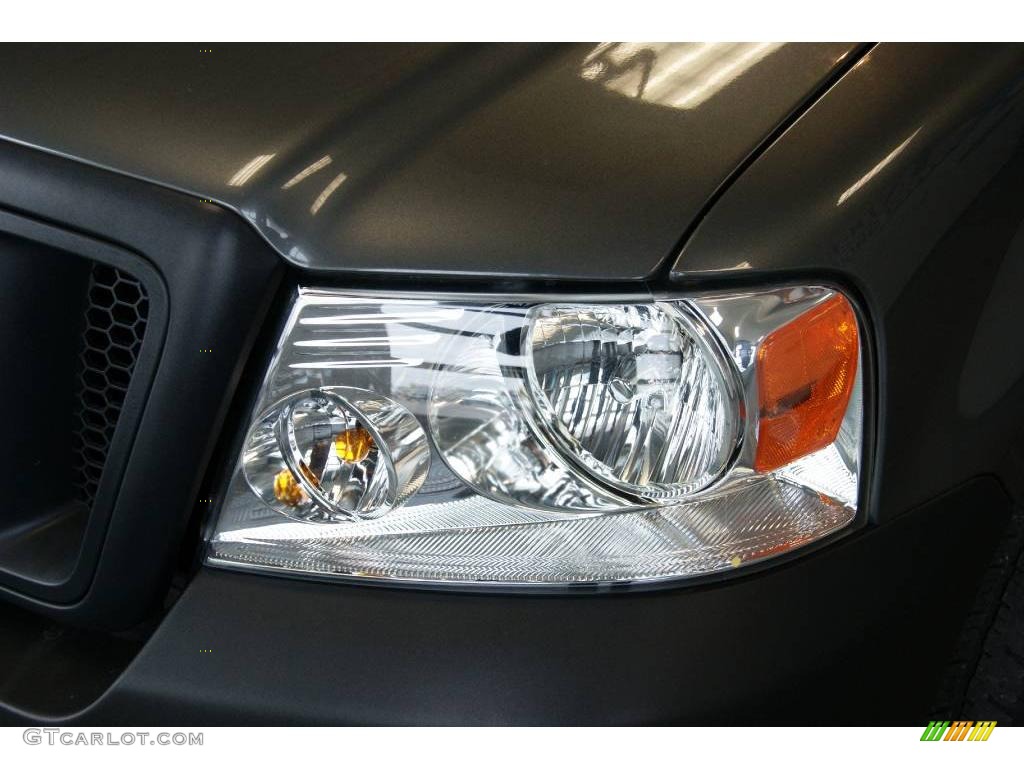 2006 F150 XL Regular Cab - Dark Shadow Grey Metallic / Medium/Dark Flint photo #13