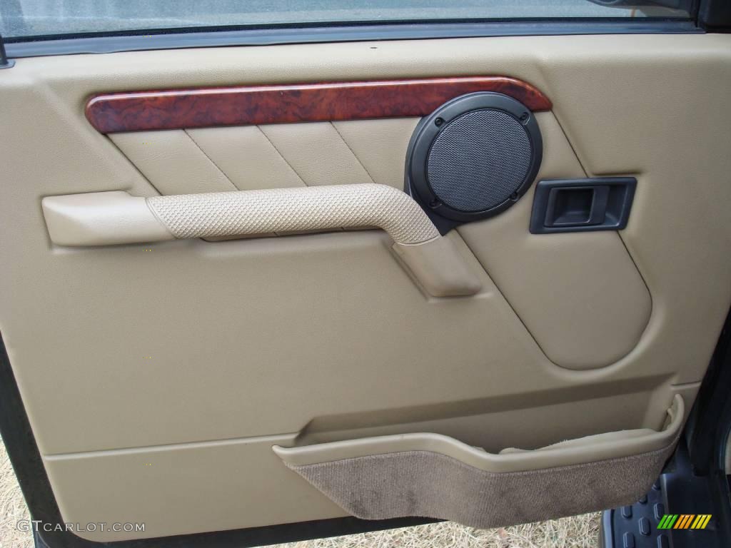 1998 Discovery LE - Charleston Green Metallic / Bahama Beige photo #12
