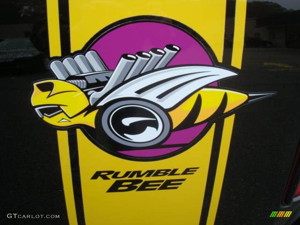 2004 Ram 1500 SLT Rumble Bee Regular Cab - Black / Dark Slate Gray/Yellow Accents photo #8