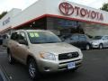 Savannah Metallic - RAV4 V6 4WD Photo No. 1