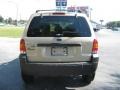 Dune Pearl Metallic - Escape XLT Photo No. 4