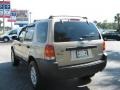 Dune Pearl Metallic - Escape XLT Photo No. 5