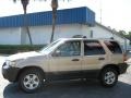Dune Pearl Metallic - Escape XLT Photo No. 6
