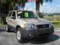 Dune Pearl Metallic - Escape XLT Photo No. 9