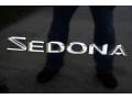 2002 Midnight Black Kia Sedona EX  photo #51