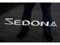 2002 Midnight Black Kia Sedona EX  photo #52