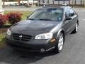 2001 Gray Lustre Metallic Nissan Maxima SE  photo #2