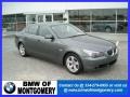 2007 Titanium Grey Metallic BMW 5 Series 525i Sedan  photo #1