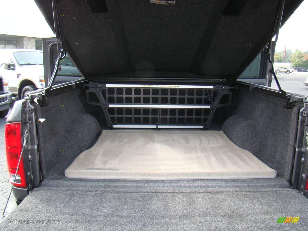 2004 Ram 1500 SLT Quad Cab 4x4 - Graphite Metallic / Dark Slate Gray photo #10