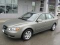 Natural Khaki - Sonata GLS Photo No. 2