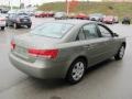 Natural Khaki - Sonata GLS Photo No. 8
