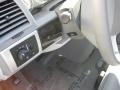 Blackberry Metallic - Grand Caravan SXT Photo No. 10