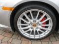 GT Silver Metallic - Boxster RS 60 Spyder Photo No. 4