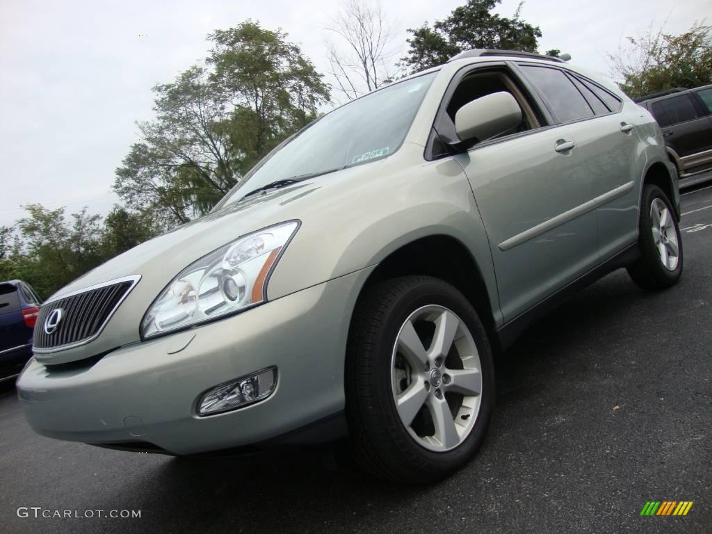 2005 RX 330 AWD - Bamboo Pearl / Ivory photo #2