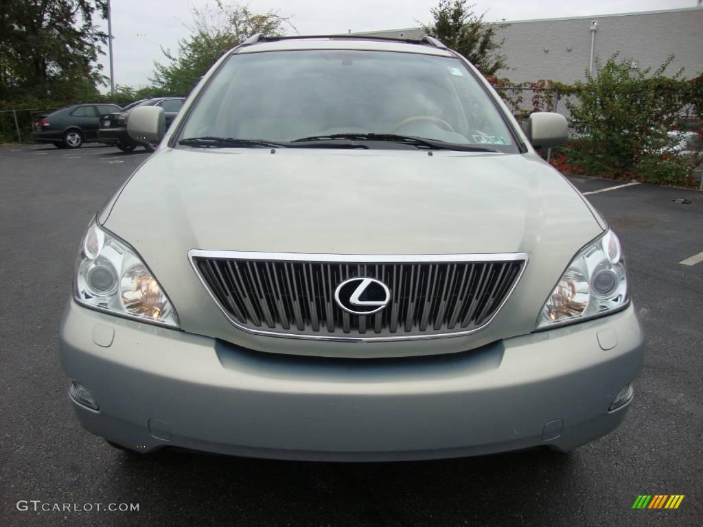 2005 RX 330 AWD - Bamboo Pearl / Ivory photo #3