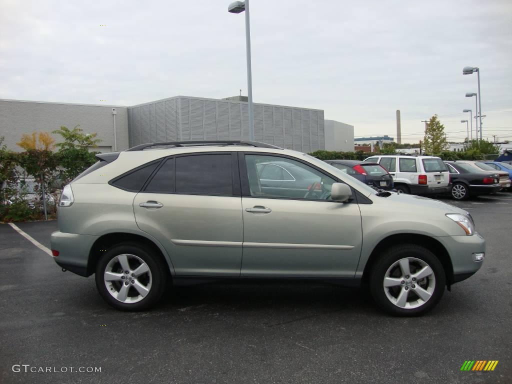 2005 RX 330 AWD - Bamboo Pearl / Ivory photo #6