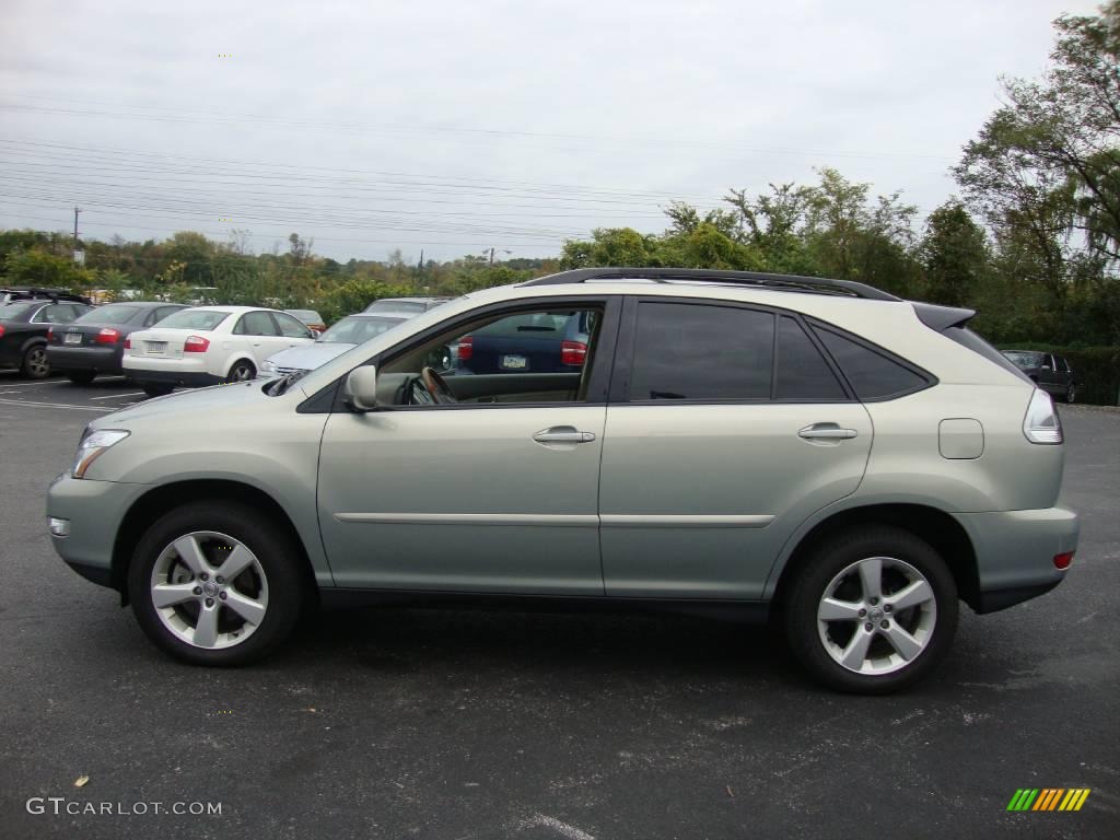 2005 RX 330 AWD - Bamboo Pearl / Ivory photo #10