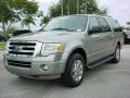 Vapor Silver Metallic - Expedition EL XLT Photo No. 8
