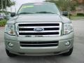 Vapor Silver Metallic - Expedition EL XLT Photo No. 9