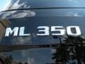 Black - ML 350 4Matic Photo No. 9