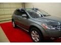 2006 Platinum Pearl Metallic Nissan Murano SL  photo #14