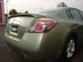 Metallic Jade - Altima 2.5 SL Photo No. 23