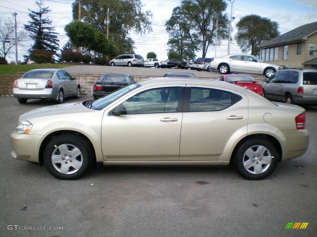 2010 Avenger SXT - White Gold / Dark Khaki/Light Graystone photo #6