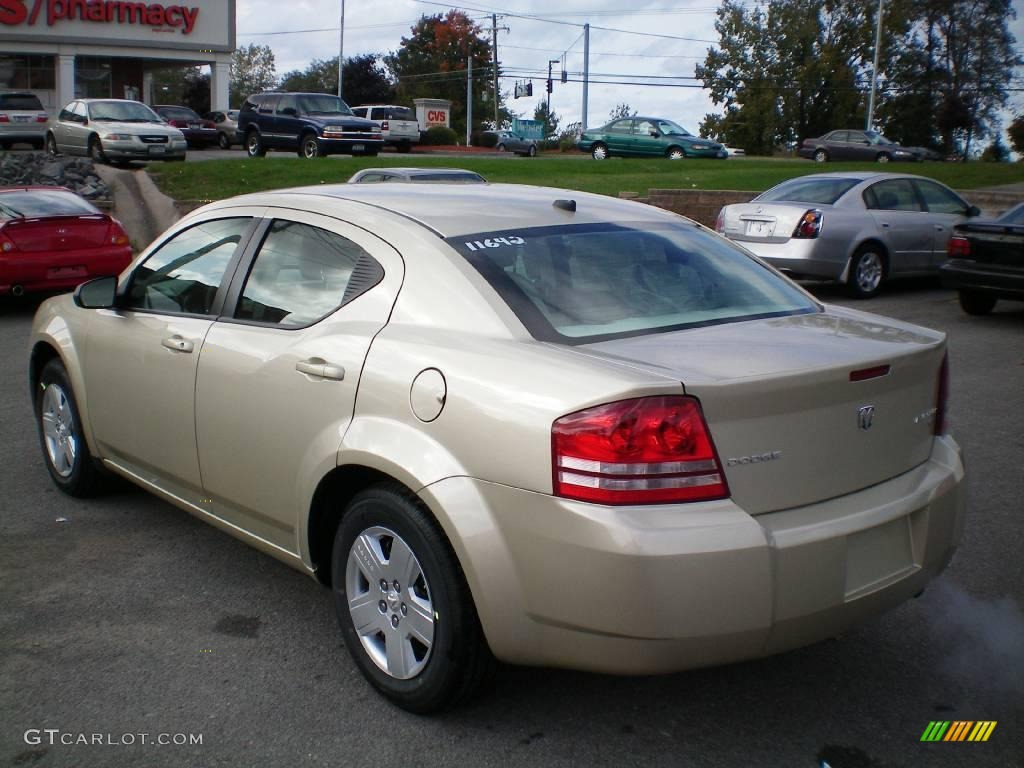 2010 Avenger SXT - White Gold / Dark Khaki/Light Graystone photo #7