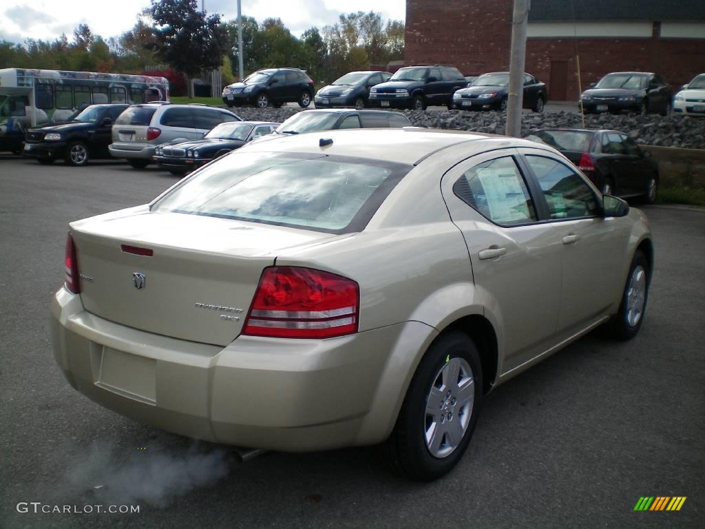 2010 Avenger SXT - White Gold / Dark Khaki/Light Graystone photo #9