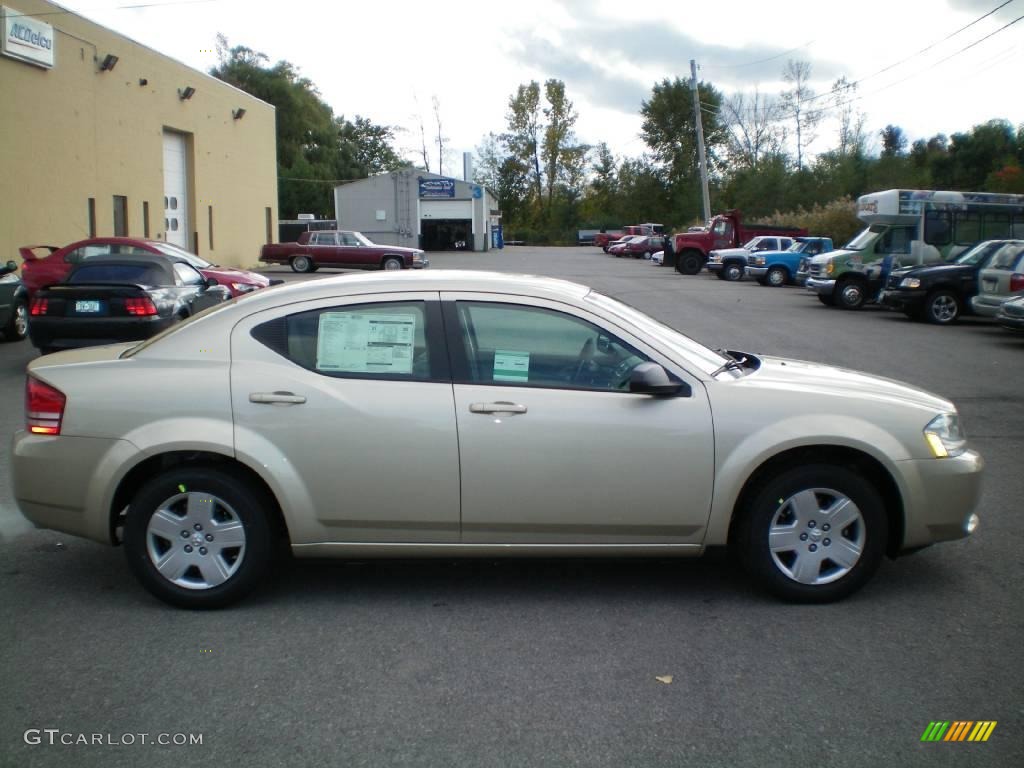 2010 Avenger SXT - White Gold / Dark Khaki/Light Graystone photo #10