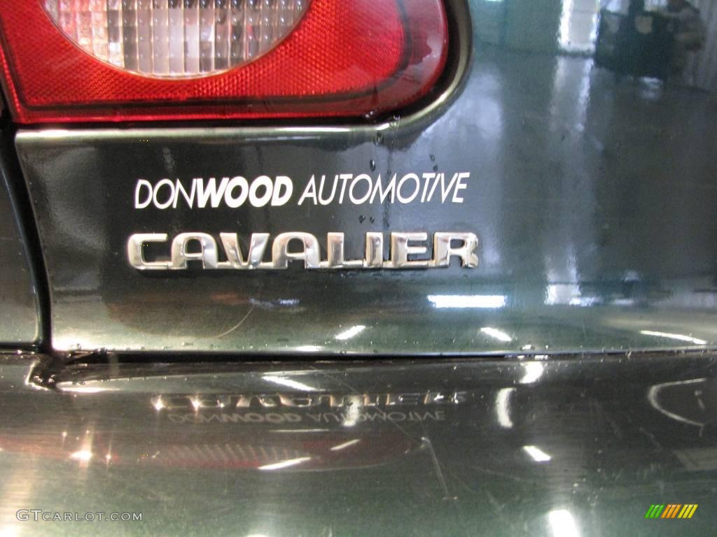 2002 Cavalier Sedan - Forest Green Metallic / Graphite photo #6