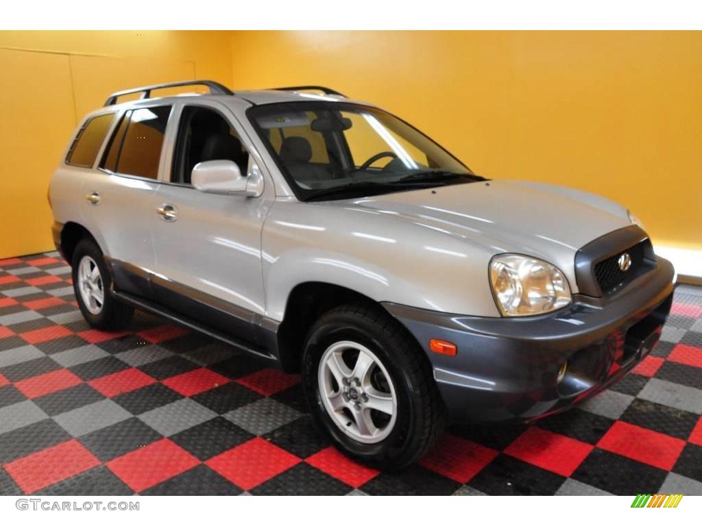 2004 Santa Fe GLS 4WD - Pewter / Gray photo #1