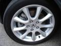 Carbon Gray Pearl - TSX Sedan Photo No. 21
