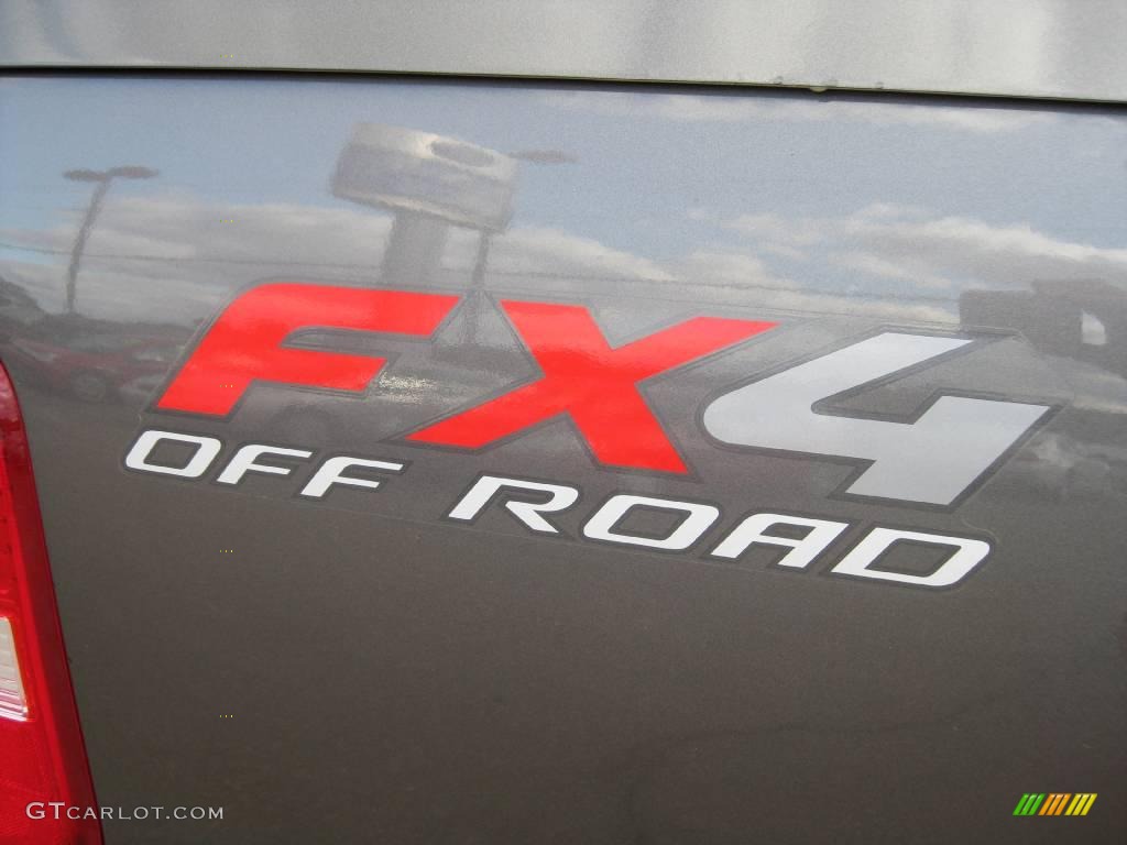 2004 F150 FX4 SuperCrew 4x4 - Dark Shadow Grey Metallic / Black photo #20