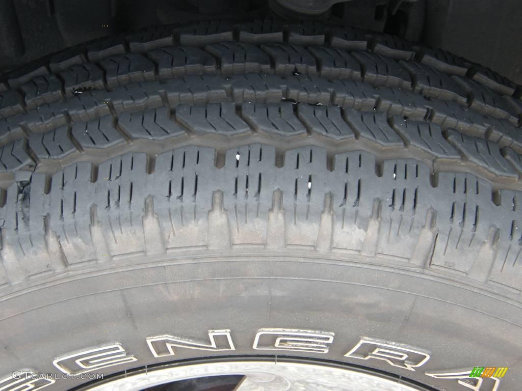 2006 F150 XLT SuperCrew 4x4 - Silver Metallic / Medium/Dark Flint photo #12