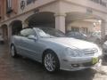 Diamond Silver Metallic - CLK 350 Cabriolet Photo No. 1