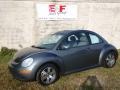Platinum Grey - New Beetle 2.5 Coupe Photo No. 1