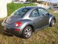 Platinum Grey - New Beetle 2.5 Coupe Photo No. 3