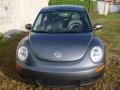Platinum Grey - New Beetle 2.5 Coupe Photo No. 5