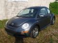 Platinum Grey - New Beetle 2.5 Coupe Photo No. 14