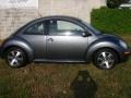 Platinum Grey - New Beetle 2.5 Coupe Photo No. 20