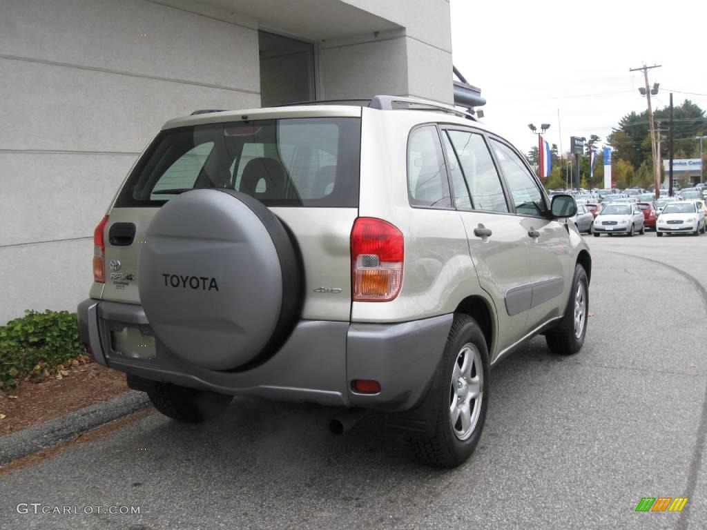 2003 RAV4 4WD - Vintage Gold / Taupe photo #3