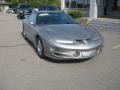 Pewter Metallic - Firebird Trans Am Coupe Photo No. 13