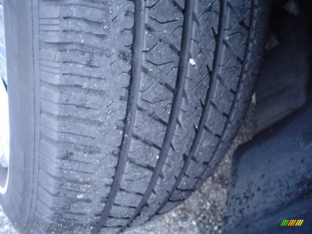 2006 Grand Marquis GS - Light Tundra Metallic / Light Camel photo #10