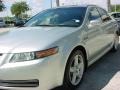 2006 Alabaster Silver Metallic Acura TL 3.2  photo #14