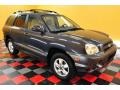 Steel Blue - Santa Fe GLS 4WD Photo No. 1