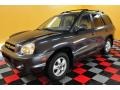 Steel Blue - Santa Fe GLS 4WD Photo No. 3