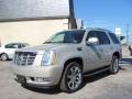 Quicksilver - Escalade AWD Photo No. 3